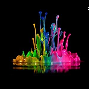 Meet your Posher, Lynn